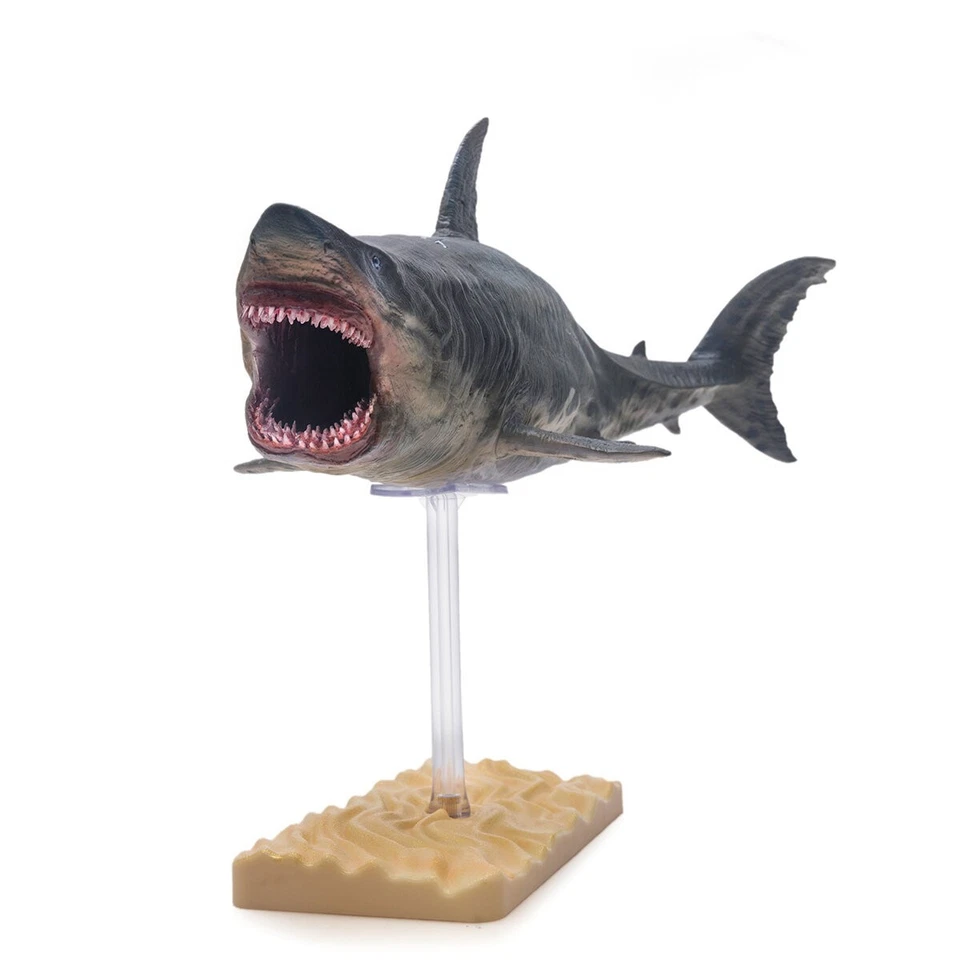 PNSO Patton il Megalodon - modello squalo preistorico - Immagine 3 di 4