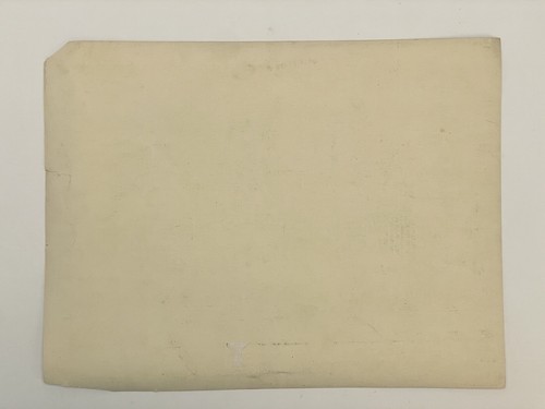 Foto de la convención de película silenciosa de primera película Rochester Eastman Kodak 1919 - Imagen 7 de 7