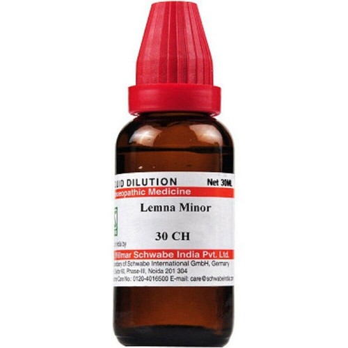 Willmar Schwabe Homeopathy Lemna minor (30 ML) (Select Potency) - Picture 3 of 6