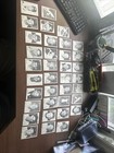 Foto 2 di 11