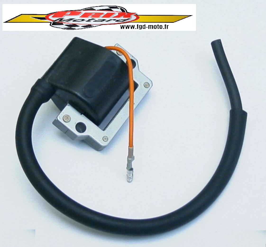 YAMAHA DTMX 125 6 VOLTS Bobina Accensione Alta Tensione Giappone