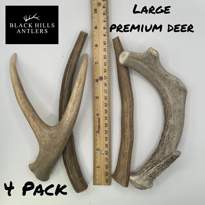 BLACK HILLS ANTLERS Large Premium Deer Antler Dog chew 4 Pack