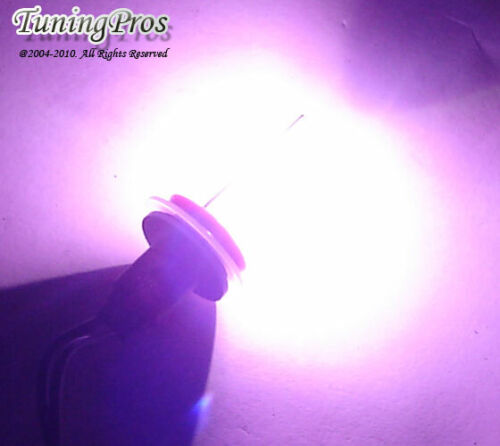 Slim 55W 9004 25000K Violet Purple Xenon HID Conversion Kit -High Low Beam 1 Set - Bild 2 von 3