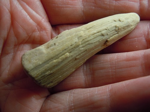 Rare Specimen Calcite Cone In Cone Crystal Ellsworth Co. Kansas USA 16 Grams - Picture 1 of 12