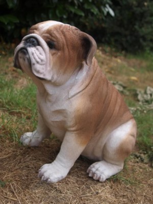 englische Bulldogge Figur Hundefigur Deko NEUHEIT english Bulldog HOTANT