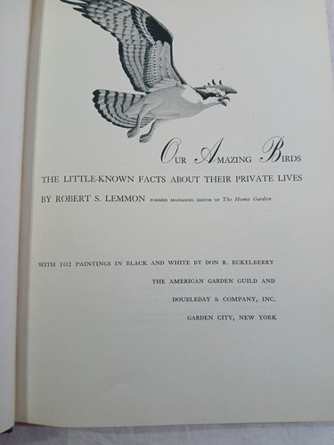 Our Amazing Birds by Robert S Lemmon Hardcover 1952 Bird Watchers - Picture 5 of 10