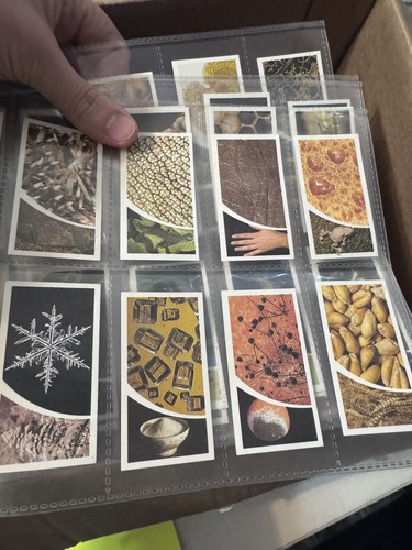 Tarjetas comerciales de 5+ libras de imágenes efímeras de 1900 y más tarjetas de cigarrillos - Imagen 12 de 21