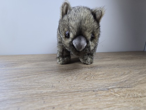 Wombat Realistic Plush Hansa 2001 | Melbourne Zoo, Australia, Gift, With Tags - Picture 4 of 6