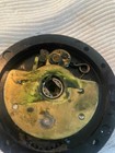 Picture 5 of 15