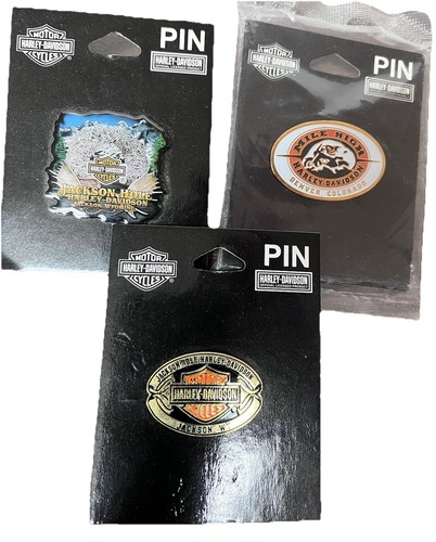 Harley Davidson Pins Mixed Collection New Sealed/Mounted 2008 & 2009 - Bild 1 von 9