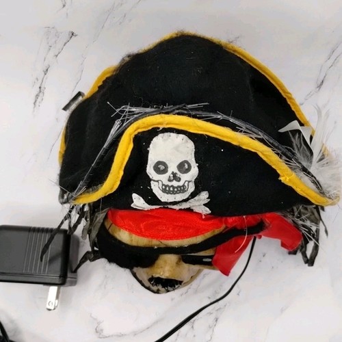 Halloween Pirate Skull Fiber Optic Color Changing Light Up Decoration VIDEO - Bild 6 von 19