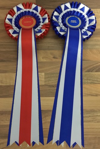 Rosetas Champion & Reserve Champion con colas de 5,18 pulgadas ENVÍO GRATUITO - Imagen 1 de 2