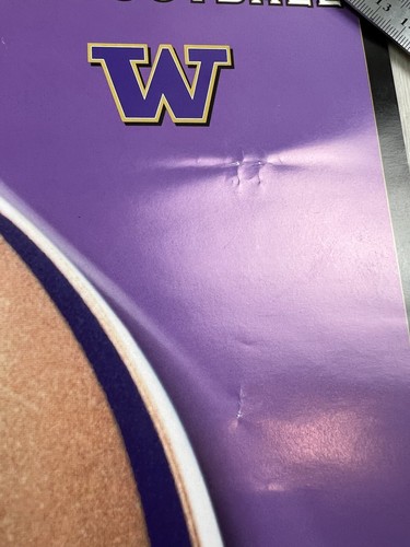 Vintage 1999 University of Washington Huskies Football Poster Schedule 18x24 - Imagen 9 de 12