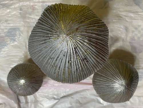 Mushroom Collection NEW Set / 3 Silver Top Holiday Style Home Decor 9” 5” 3” NEW - Picture 5 of 8
