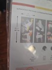 Picture 3 of 4