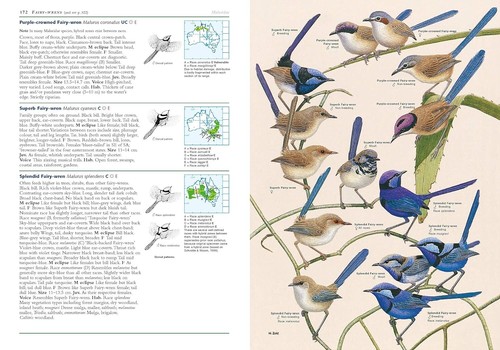 Field Guide to the Birds of Australia - 8th Edition by Nicolas Day | NEW BOOK - Picture 7 of 7