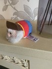 Foto 4 di 7