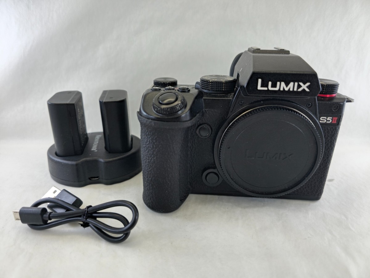 Panasonic LUMIX S5ii DC-S5M2 ☆付属品有 Panasonic LUMIX S5II DC-S5M2の出品 | ONE SCENE（ワンシーン）