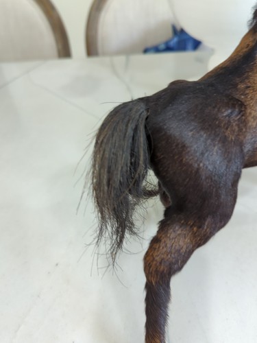 Vecchia antica figura giocattolo cavallo artigianale con vera pelle, pelo di cavallo e occhi di vetro - Foto 17 di 19
