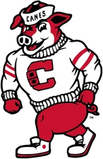 Carolina Hurricanes Logo Weather Resistant Vinyl Sticker/Decal 13