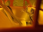 Bild 7 von 11