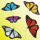 butterflybliss2010