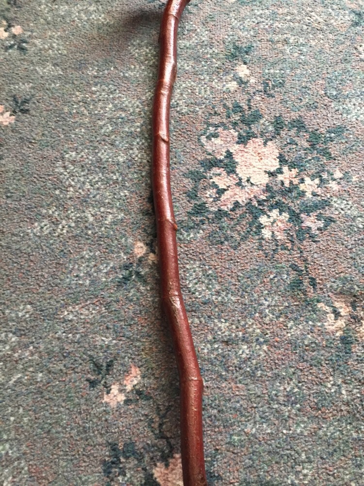 Picture 4 of 8