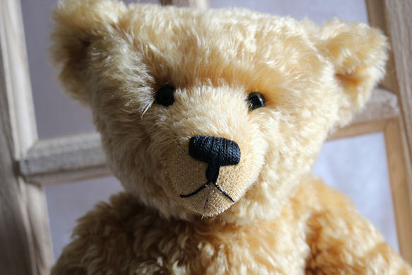 Original Wilde Bär mit einem ganz klasischen Schnitt, ansehen und zuschlagen TOP Original Wilde Bär mit einem ganz klasischen Schnitt, ansehen und zuschlagen TOP