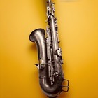 Cleveland Musical Instr. Low Pitch 19728 Saxophone