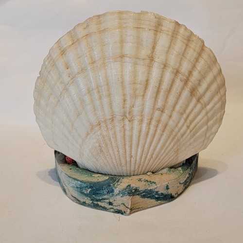 De colección Seashell Souvenir Daytona Beach Florida Sea Shell Art Kitsch Kitsch - Imagen 11 de 13