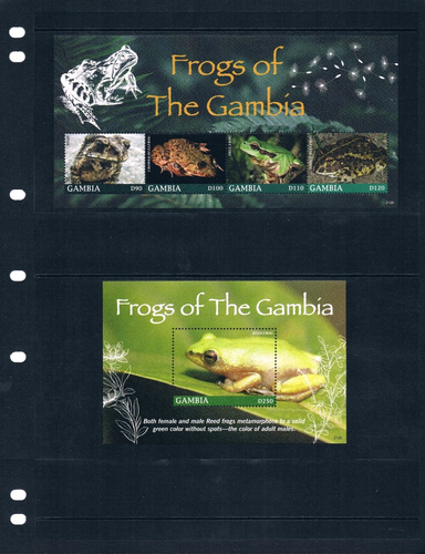 1/2 de descuento valor Scott de $25,75 - Ranas GAMBIA 2021 2 s/s reptiles africanos MNH NH UMM - Imagen 2 de 6