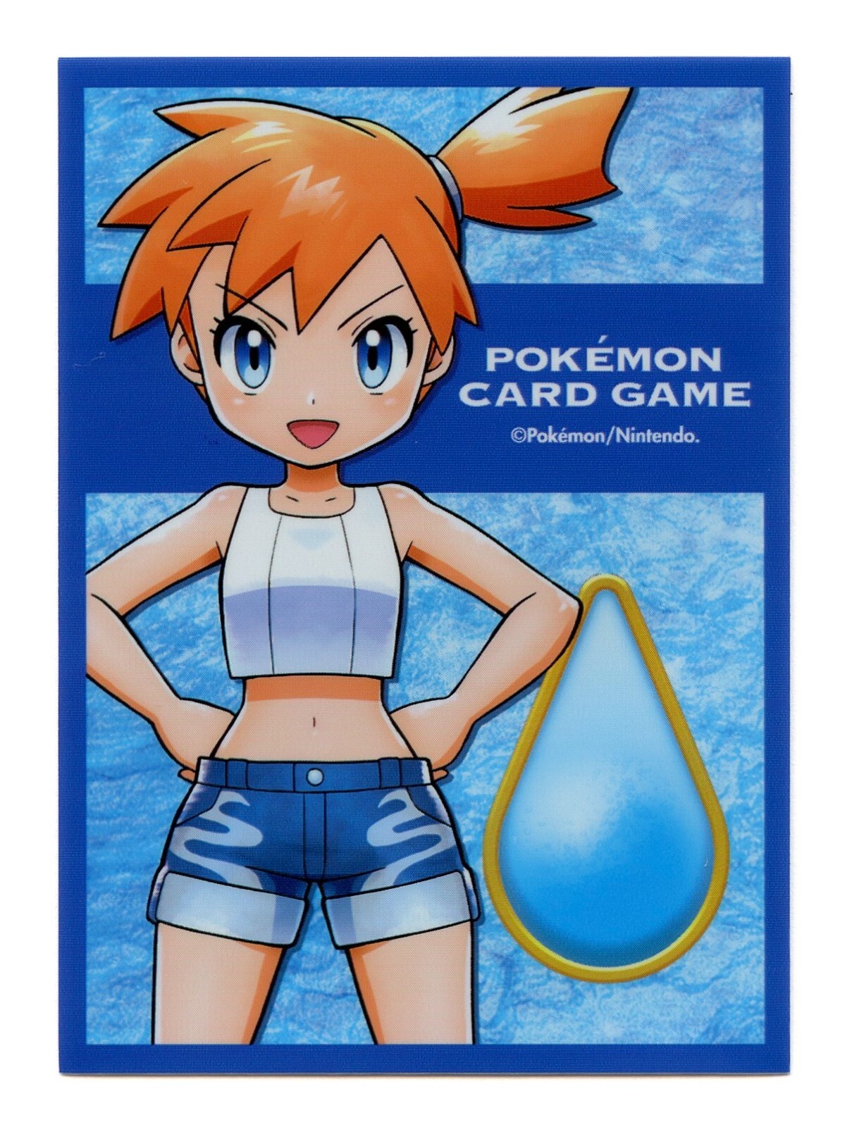 Misty Pewter City Gym Individual Card Sleeve Pokemon Center Japan Original