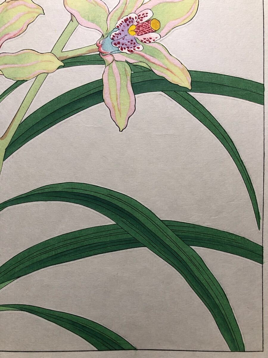 Picture 8 of 10