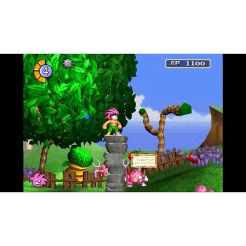 Juego Tomba! Edición Especial para Playstation 5 | PS5 Limited Run Edition - Imagen 7 de 7