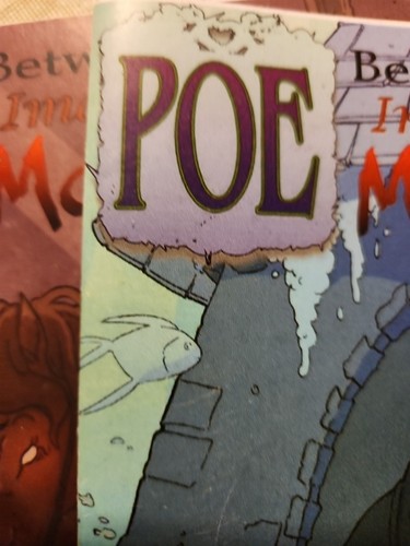 Poe Between Reality Imagination And Madness Books 1,2 & 3 - Foto 14 di 22