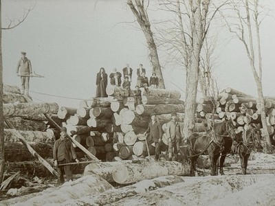 Antique Logging Camp Photo  On the Bank of Central Lake  Lumber Camp Horses Logs