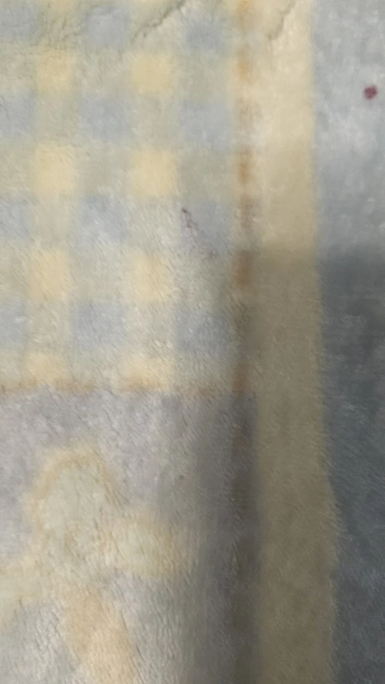 Crown Crafts Beatrix Potter Peter Rabbit 豪华毛绒抓绒婴儿毯 2001 — 第 3/4 张图片