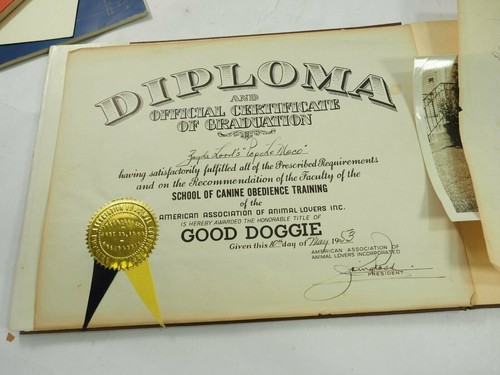 Pet -O-Log "All about our Dog" with photos and Diplomas With Dustjacket 1949 - Picture 4 of 12