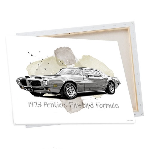 Pontiac Formula 1973 clásico techo rígido colores aluminio/lona arte de pared regalo - Imagen 20 de 21