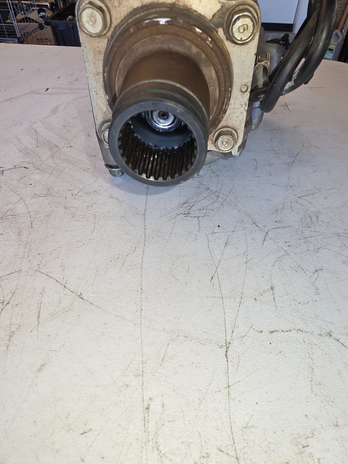 Picture 3 of 4