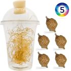 T Sinensis Praying Mantis Eggs Case Hatching Cup Bug Killer Natural Pest Control