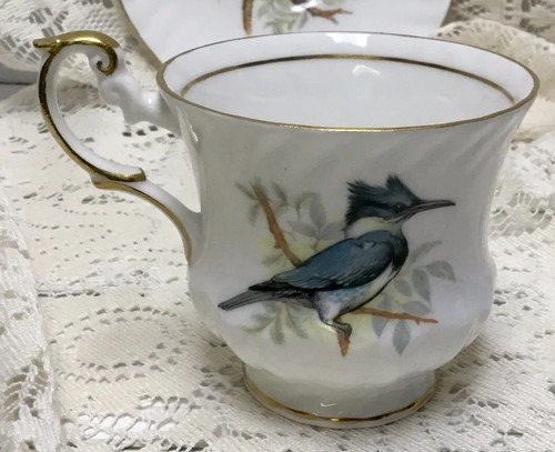 Queens Bone China Teacup & Saucer ~Birds of America Series 1~ Kingfisher Birds - Picture 4 of 8