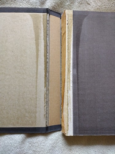 Hardcover: Camera Portraits - Picture 2 of 4