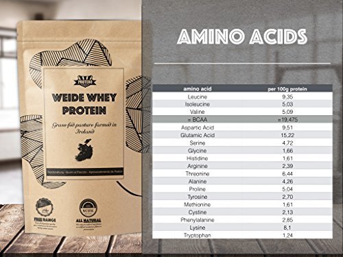 Protero Weide Whey Protein aus irischer Weidemilch - 1kg Kakao - 1kg - aa17a6 Protero Weide Whey Protein aus irischer Weidemilch - 1kg Kakao - 1kg - aa17a6