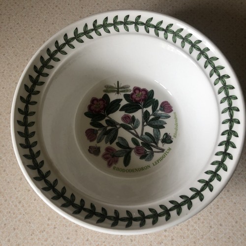 Portmeirion Botanic Garden Soup /Cereal Bowl 17cm Rhododendron Williams Ellis - Picture 6 of 9