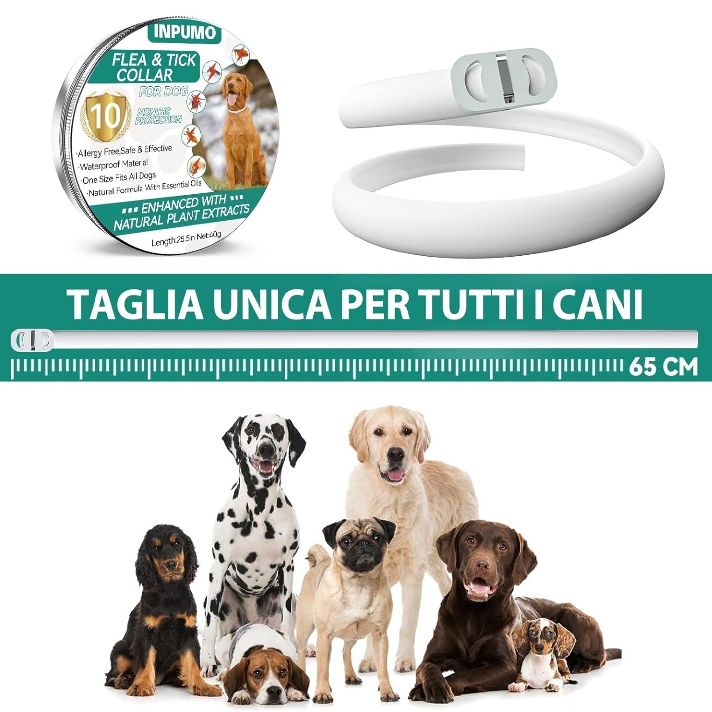 Foto 14 di 15