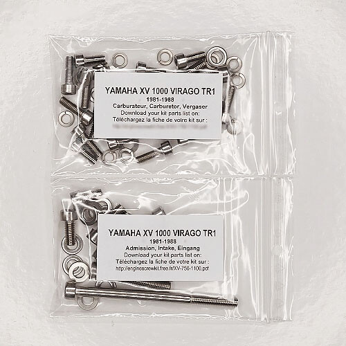 YAMAHA XV 1000 VIRAGO 1984-1988 Kit n°1 vis BTR inox carburateurs XV1000 - Picture 1 of 1