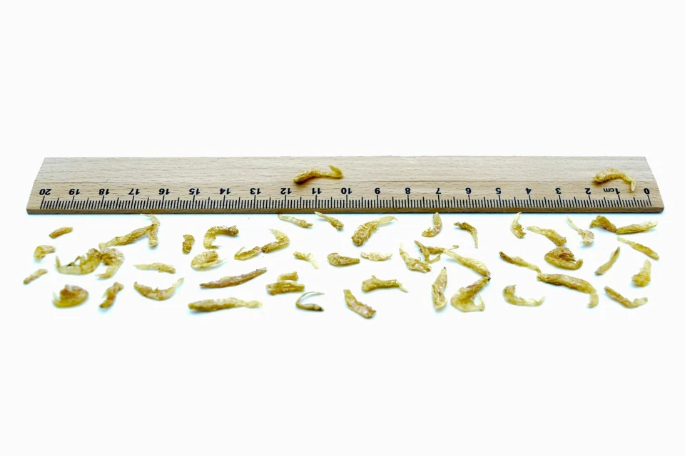 Garnelen 1-2cm getrocknet (Shrimps) 0,2 - 20 KG, Fische, Hunde, Hühner, Vögel, - Bild 3 von 3