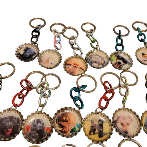 Wholesale 60 Dog Breed Bottle Cap Resin Keychains Variety Pack Handmade - Picture 10 of 24