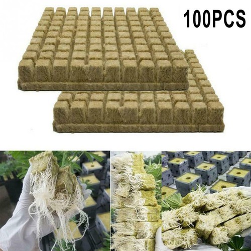 Efficient and Reliable Plant Cloning Solution 50/100 Pcs Starter Cubes - Picture 2 of 26